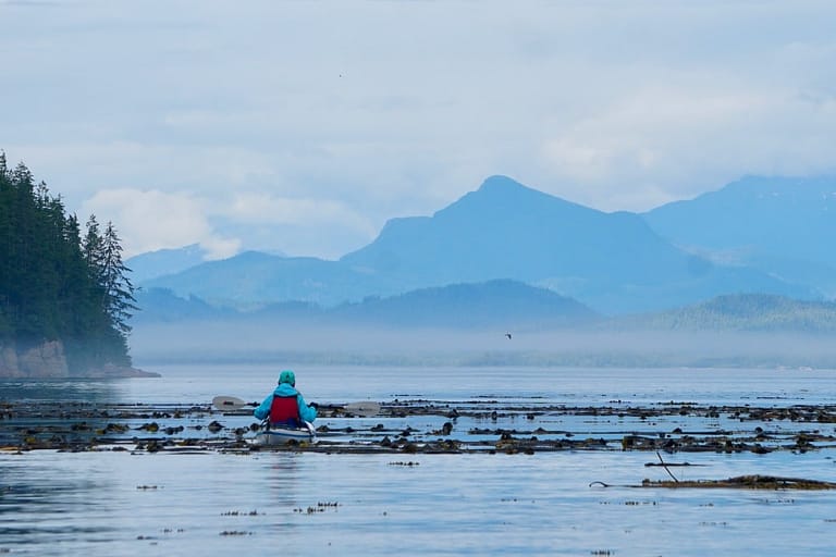 Kayaker paddling under the marine layer with coastal mountain backdrop. Image Spirit of the West Adventures.