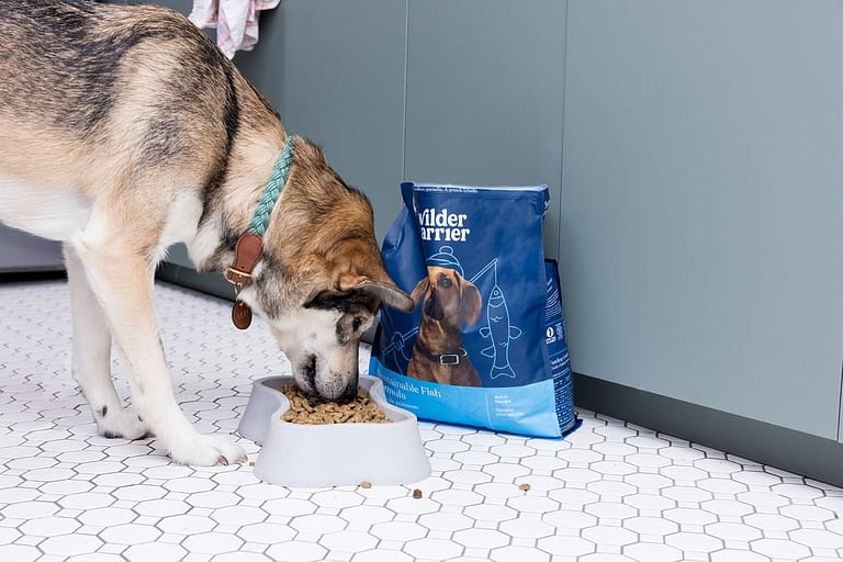 Wilder Harrier sustainable pet food