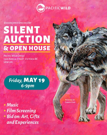 Wild Auction 2023 live event Victoria office May 15-19, 6-9pm