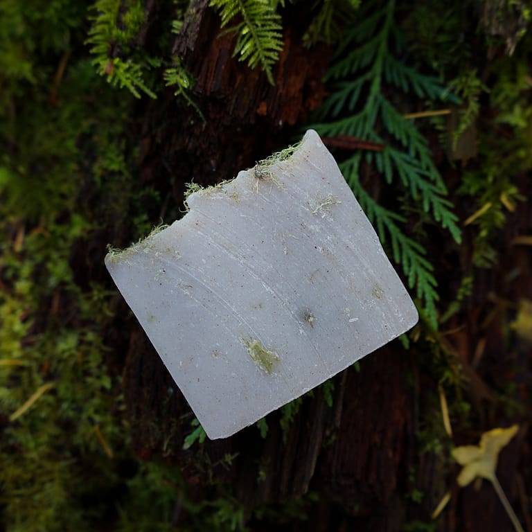 Cedarwood Fir Lichen Soap, supporting old-growth in B.C.